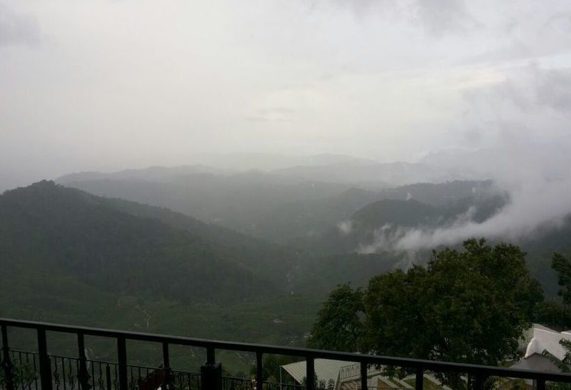 Hotel Fragrant Nature Munnar 11