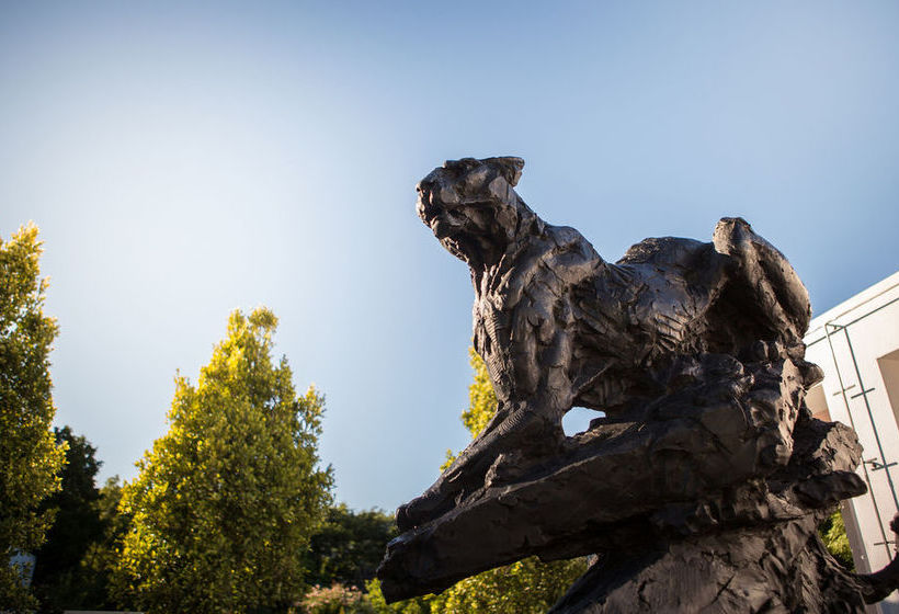 Pension Leeu House 14