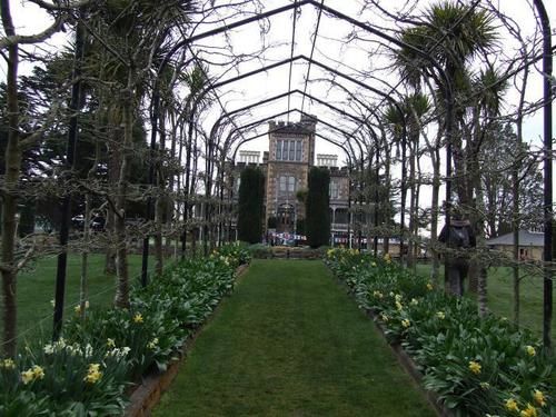 Asure 755 Regal Court Motel 3