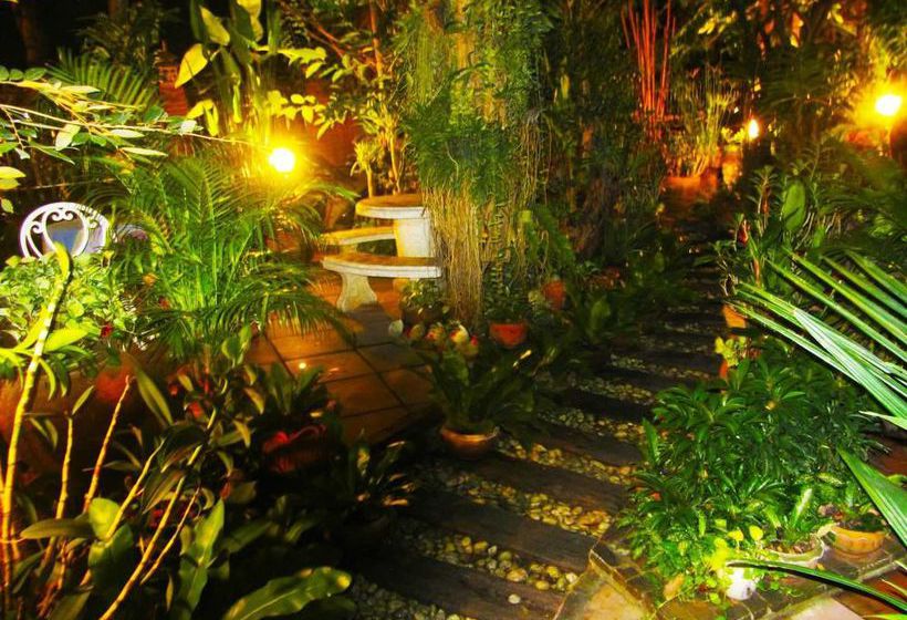 Hotel Baifern Homestay 3