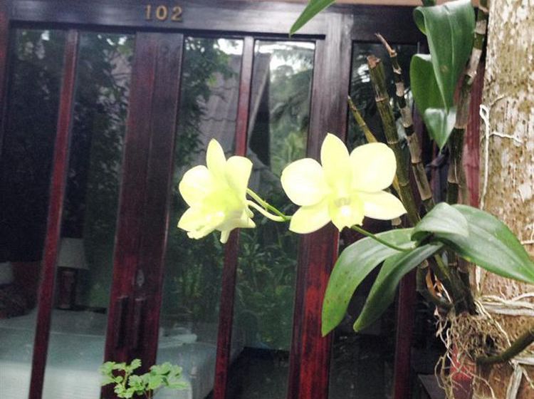 Hotel Ao Nang Beach Home 8