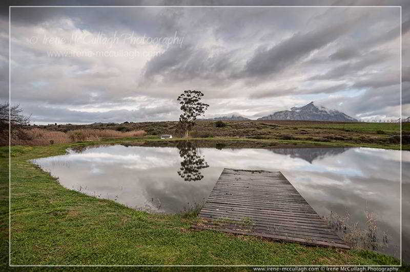 Hotel Manley Wine Lodge 3