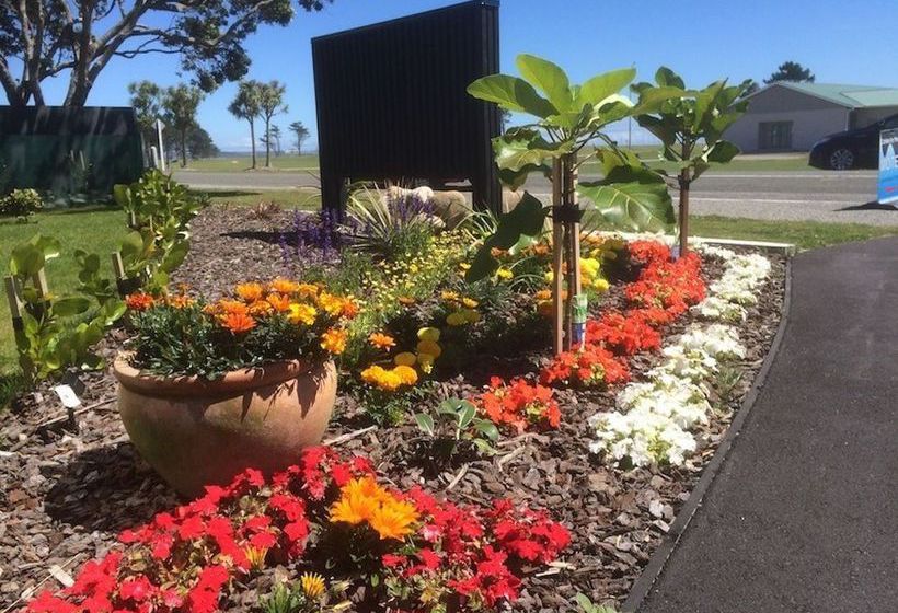 Motel Carters By The Sea Westport 18