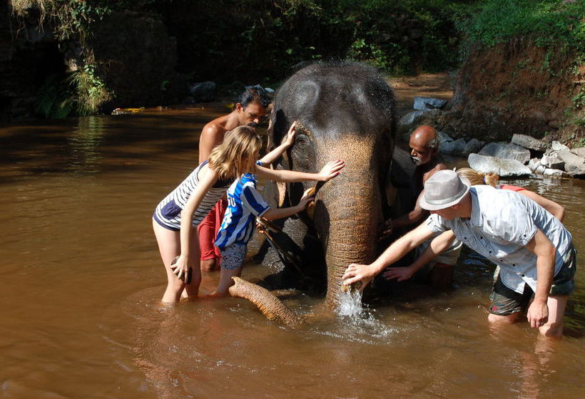 Pension Mannaas Veedu Homestay 8