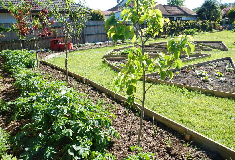 The Beach House Nelson B&b 10