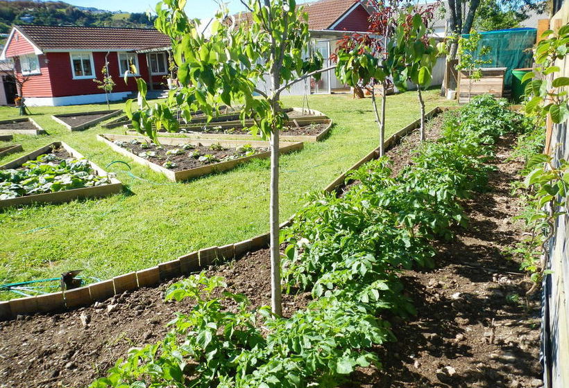 The Beach House Nelson B&b 12