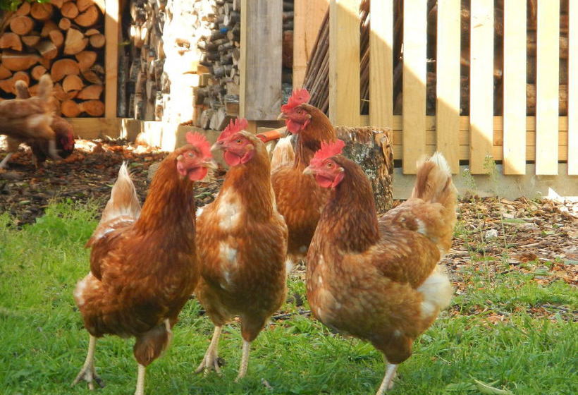 The Beach House Nelson B&b 14