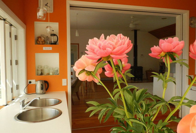 The Beach House Nelson B&b 3