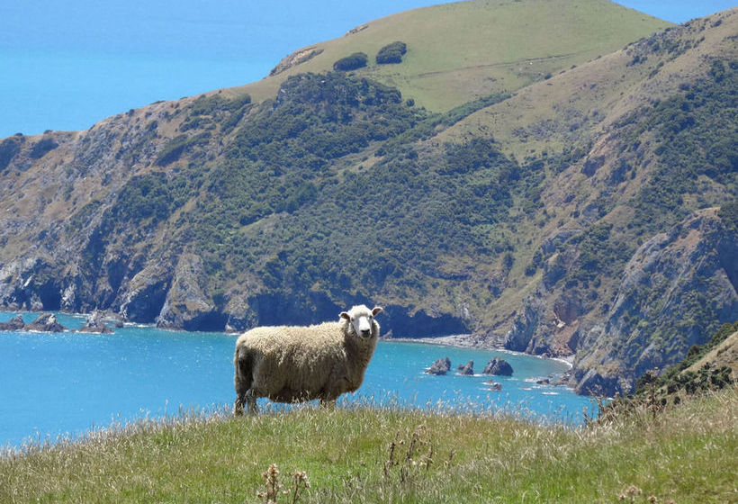 The Beach House Nelson B&b 7