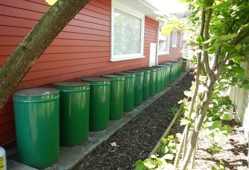 The Beach House Nelson B&b 8