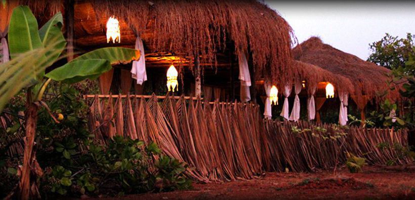 Banyan Tree Yoga Mandrem Goa