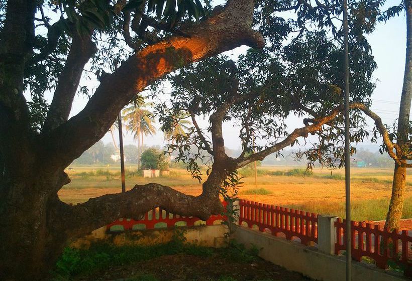 Pension Quarto De Casa Tipri 6