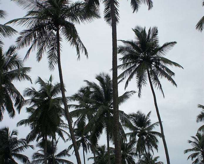 Hotel Shiva Beach House 12