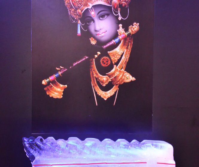 Hotel Ambience Excellency 15