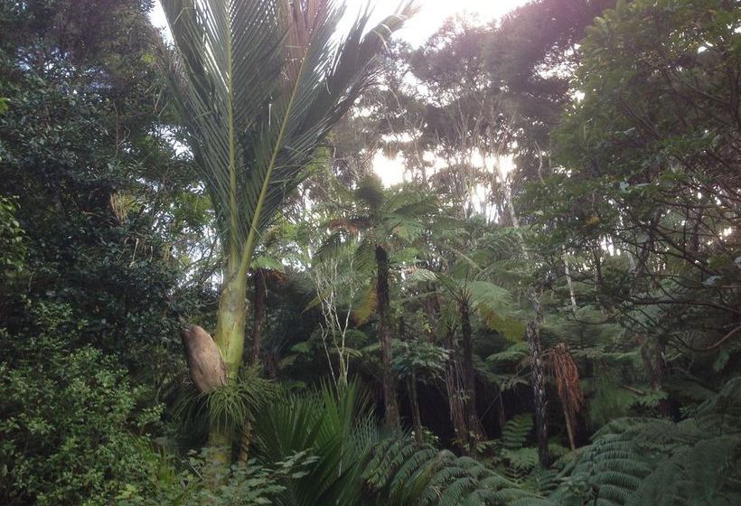 Hotel The Coromandel Treehouse 7