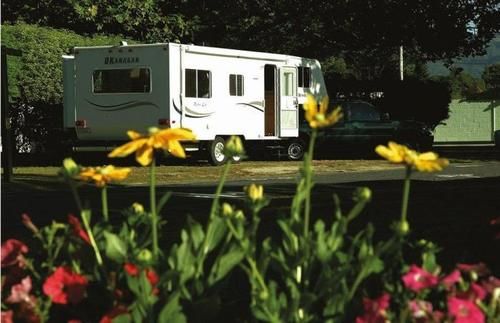 Hotel Rotorua Thermal Holiday Park 4