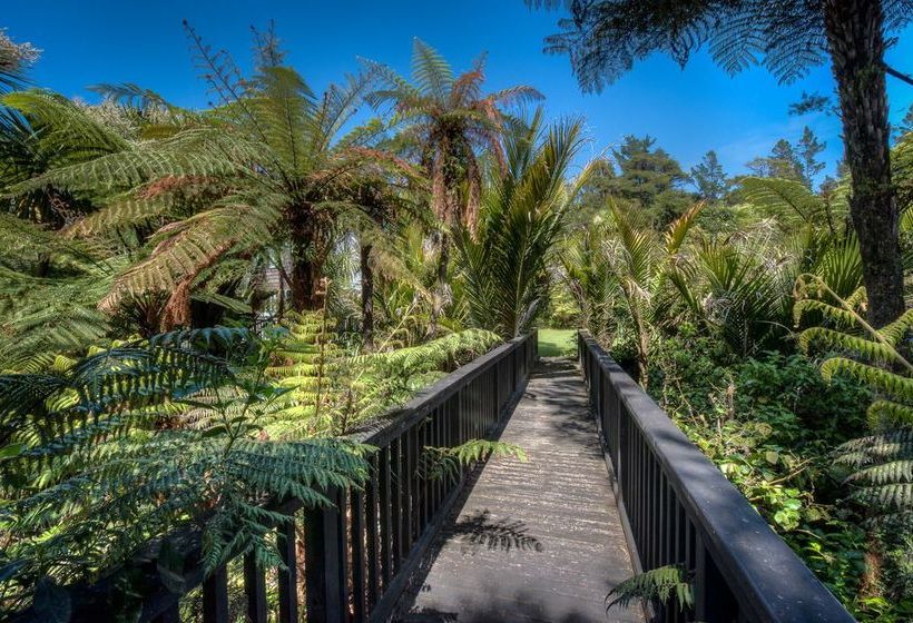 Driving Creek Villas 2