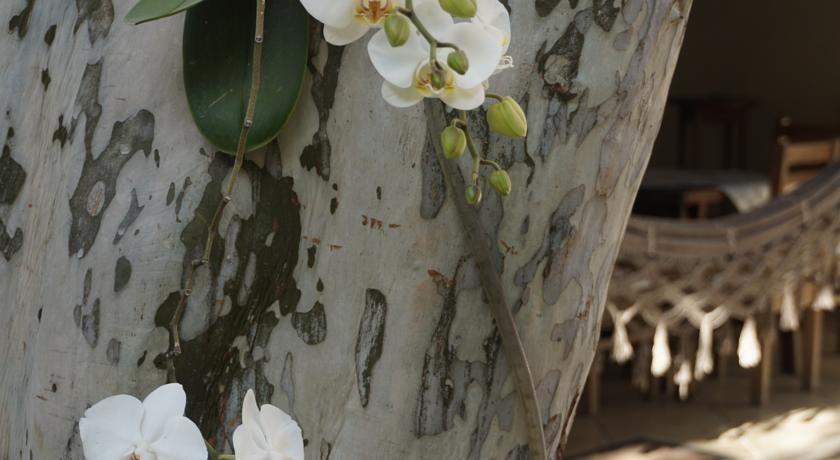 Bed and Breakfast Pouso Da Garça  | Cabo Frio | Rio de Janeiro | Brasil 15