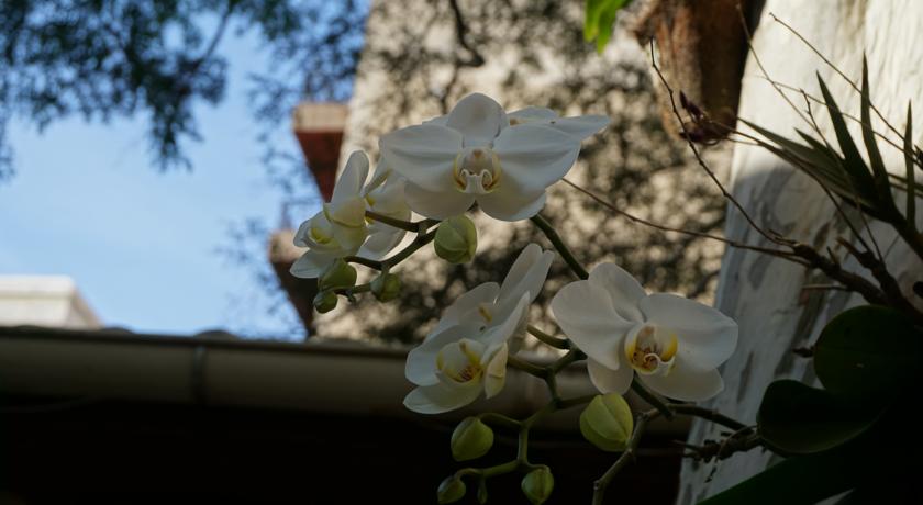 Bed and Breakfast Pouso Da Garça  | Cabo Frio | Rio de Janeiro | Brasil 3