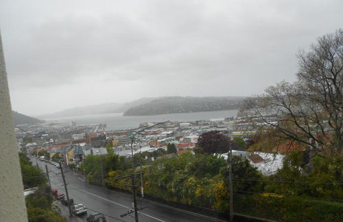 Pension Dunedin Lodge 8