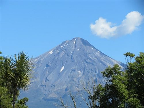 Amity Court Motel 18