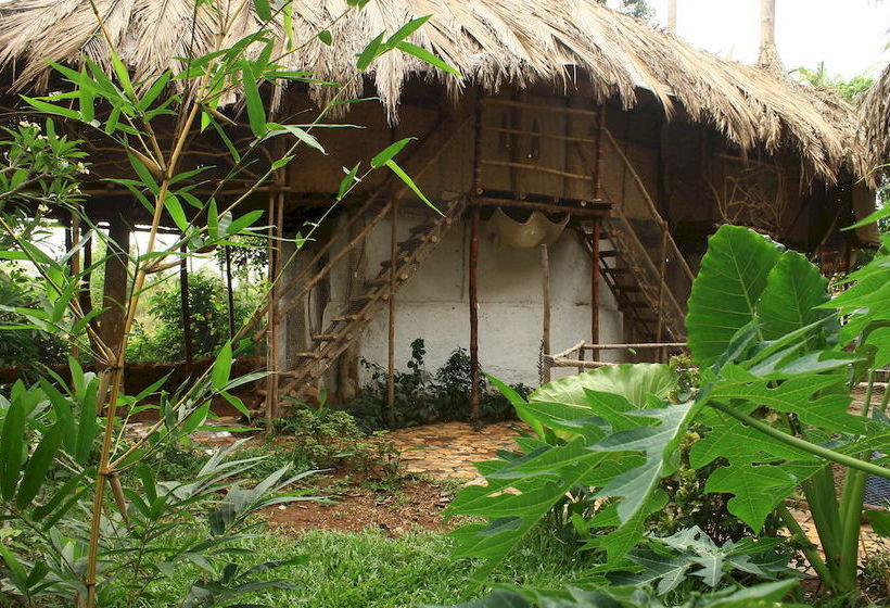 Saraya Art Cafe Bed And Breakfast 11