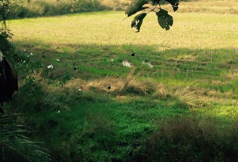 Saraya Art Cafe Bed And Breakfast 13