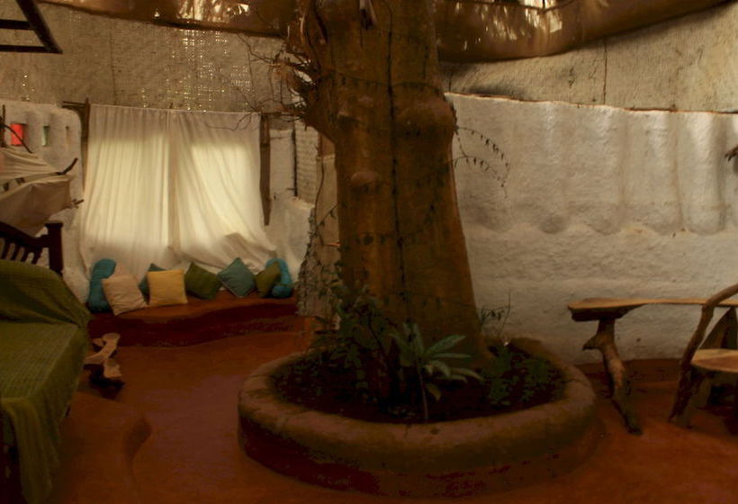 Saraya Art Cafe Bed And Breakfast 15