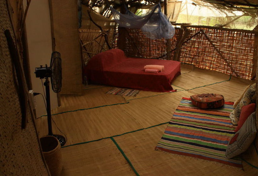 Saraya Art Cafe Bed And Breakfast 7