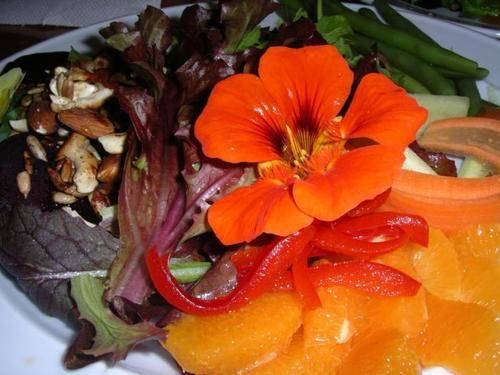 Hotel Sans Souci Inn 10