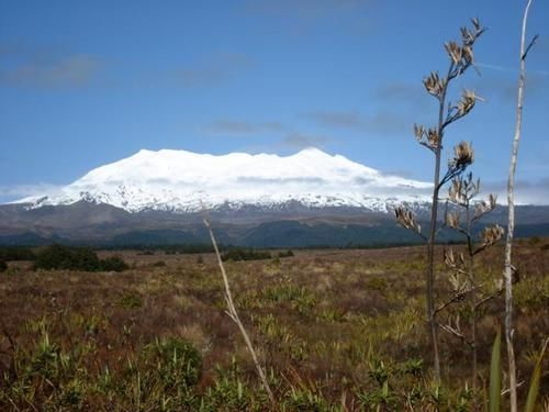 Pension St Davids Ruapehu 14