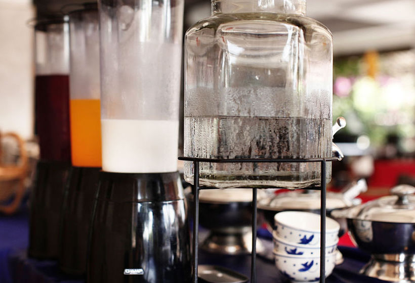 Hôtel Lotus Friendly 20