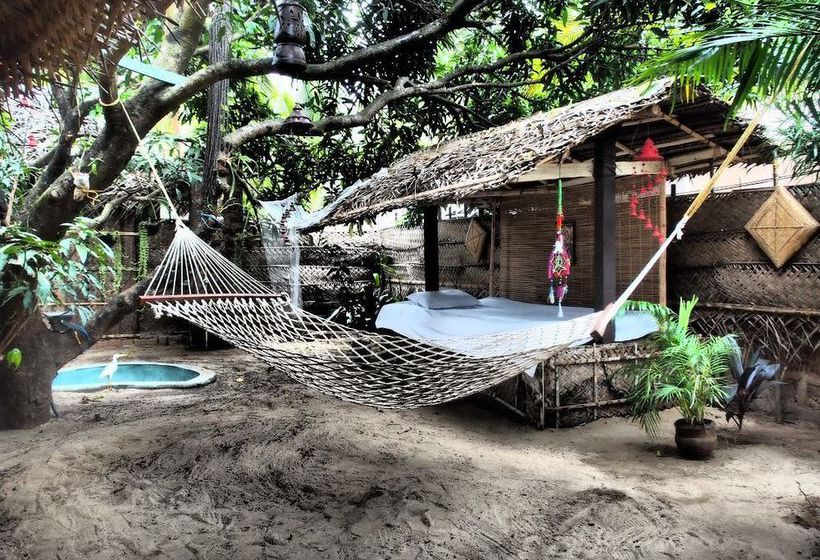 Hotel The Palm Trees Resort 10