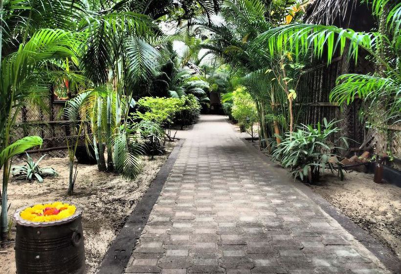 Hotel The Palm Trees Resort 12