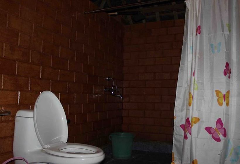 Hotel The Palm Trees Resort 14