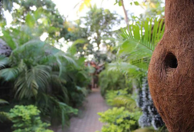 Hotel The Palm Trees Resort 15