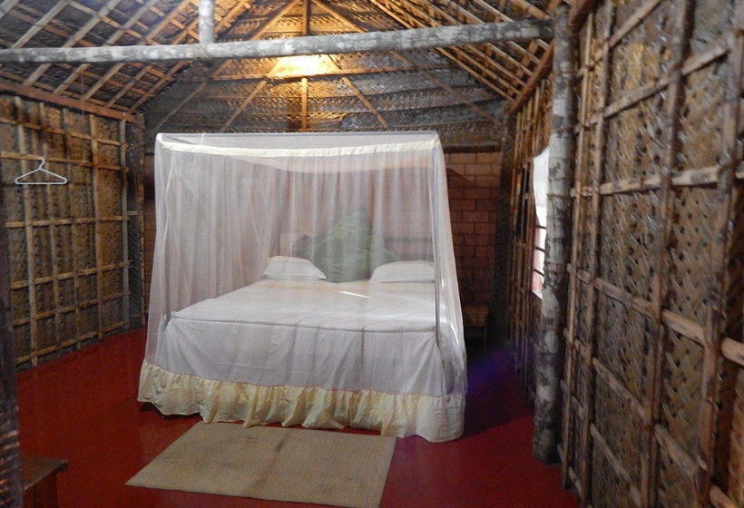 Hotel The Palm Trees Resort 19