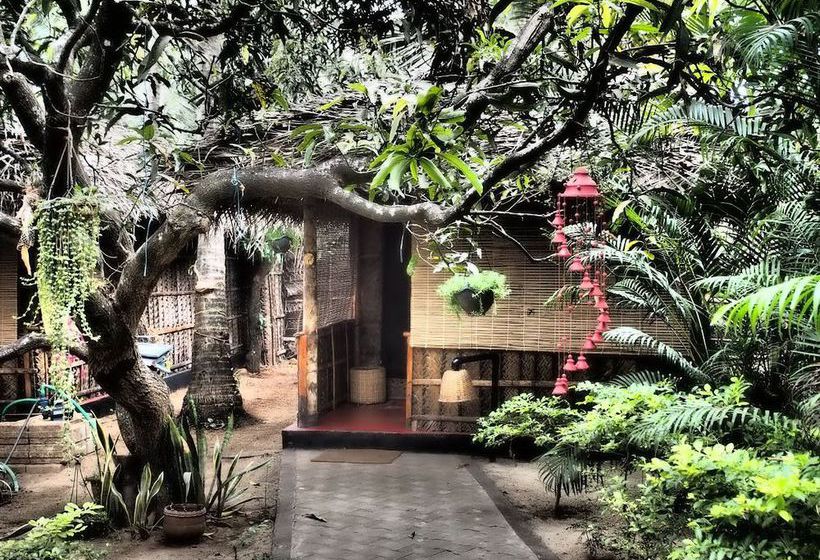 Hotel The Palm Trees Resort 5