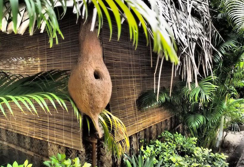 Hotel The Palm Trees Resort 7