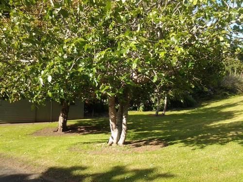 Hikurangi Stayplace Hostel 1