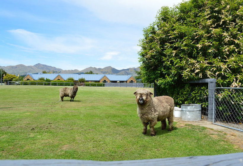 Amuri House Boutique Motel 6