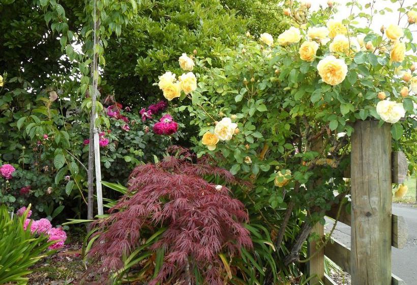 Bluebell Lodge And Cottage 12