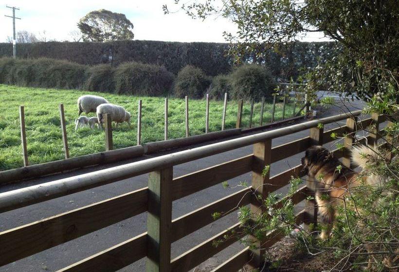 Bluebell Lodge And Cottage 14