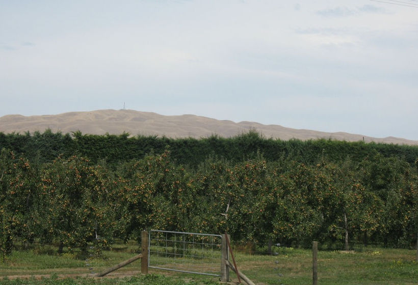 Bluebell Lodge And Cottage 17