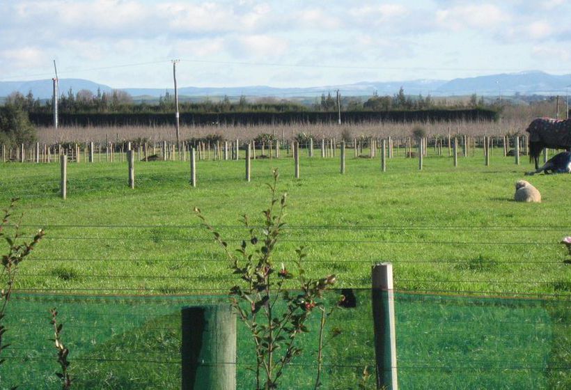 Bluebell Lodge And Cottage 9