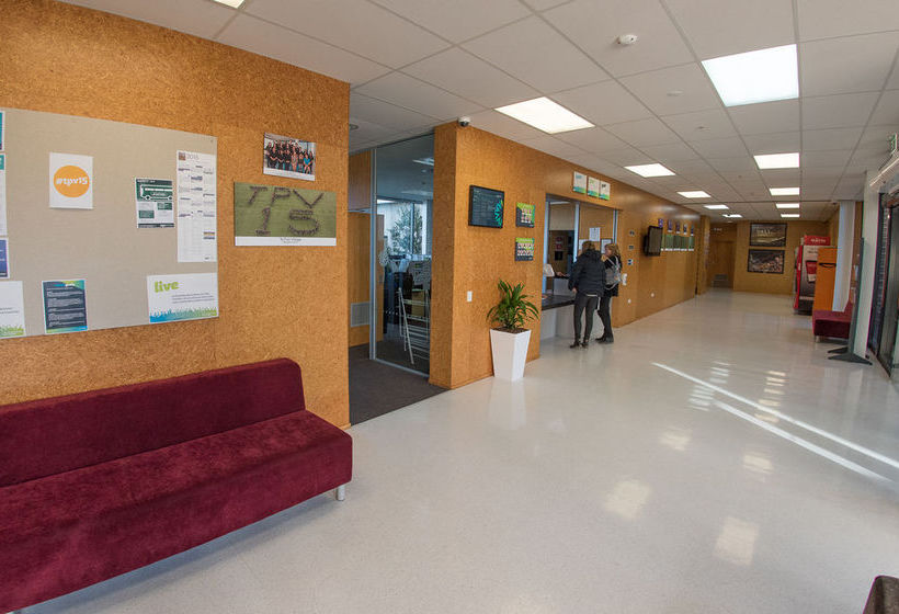 Te Puni Accommodation 5