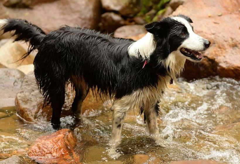 Pension Nightingale Falls Farmstay Retreat 13