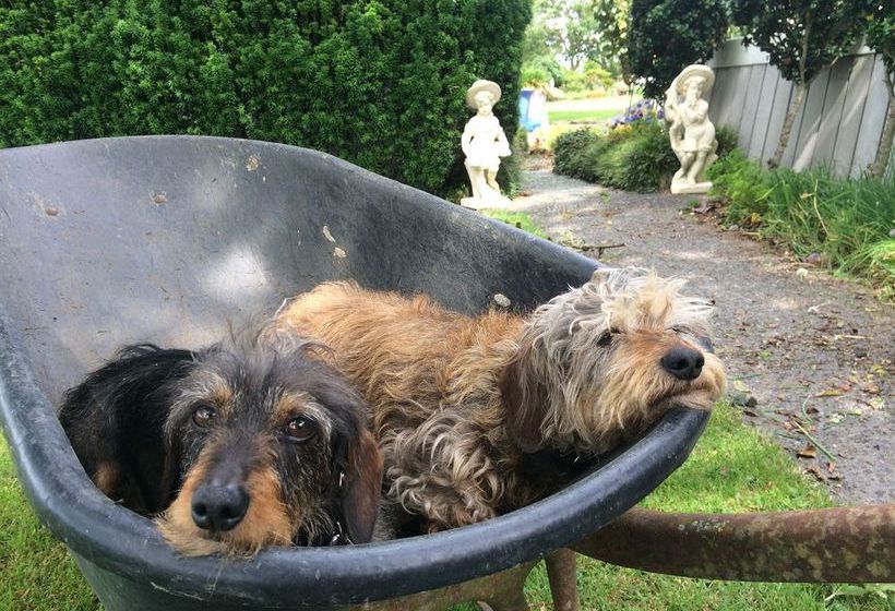 Bed and Breakfast Blairgowrie House 15