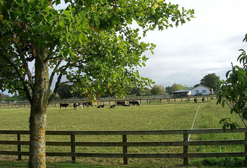 Bed and Breakfast Blairgowrie House 2