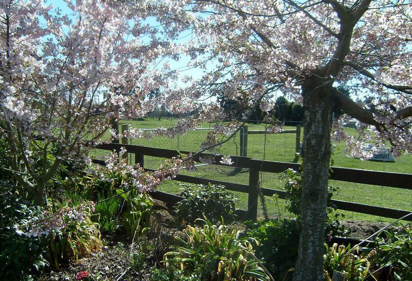 Bed and Breakfast Maples On Harewood Christchurch